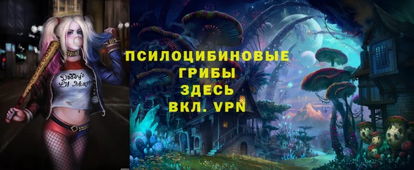бошки Верхний Тагил