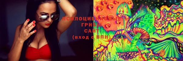 бошки Верхний Тагил