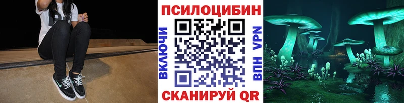 где продают наркотики  Сокол  мега зеркало  Псилоцибиновые грибы мухоморы 